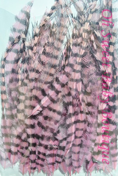 Pink Ostrich Feather Extension