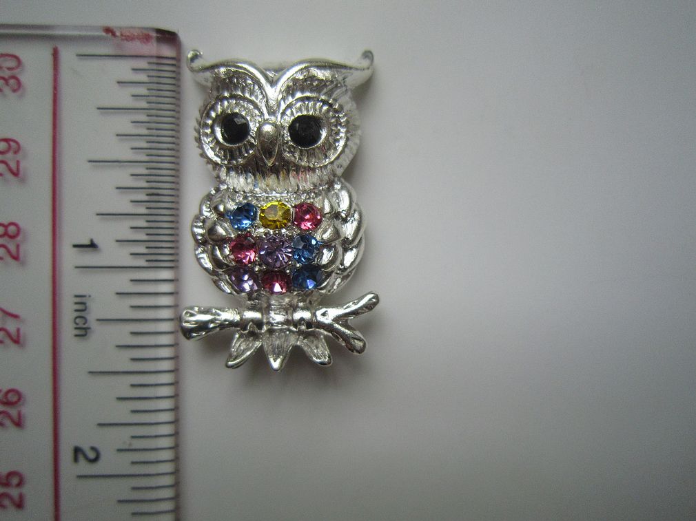 Owl Rhinestone Slider